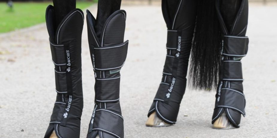 EU Confirm UK Studbook Recognition Post-Brexit Transition. Image bucas freedom travel boots