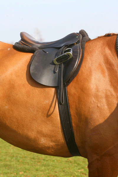 A Havana coloured saddle for showing