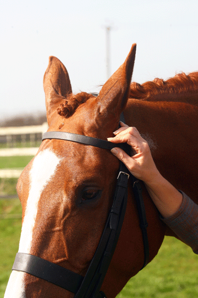 Make sure the browband isn't too tight and causing pressure points