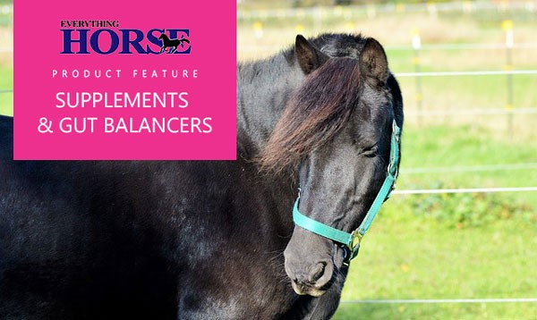 Supplements and gut balancers for horses
