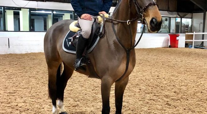 Top 10 Tips for a Young Horse’s Training Schedule with Steph Gumn