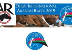 dubai international arabian races