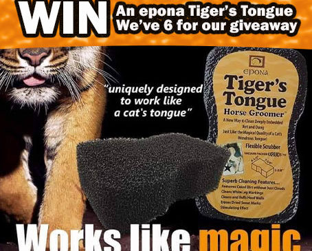 WIN an epona Tiger's Tongue with Everything Horse