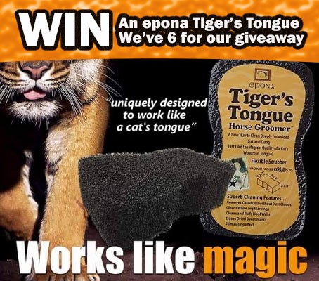 WIN an epona Tiger's Tongue with Everything Horse