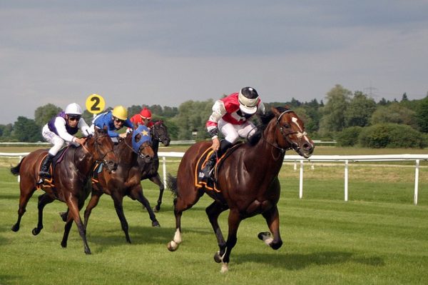 One of the next big meetings in the UK this summer is Glorious Goodwood, which features 13 Group races across five days – including three Group One contests.