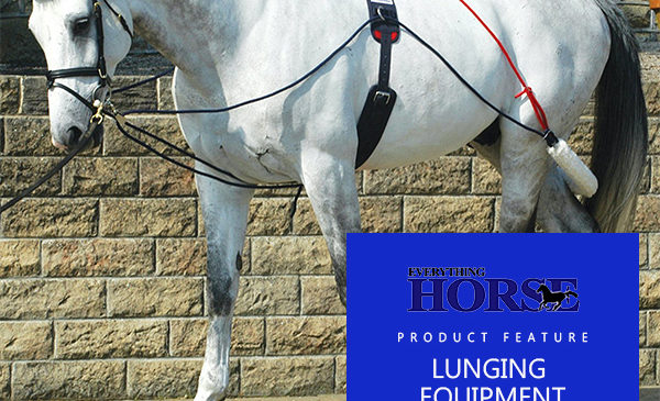 lunging equipment for horses