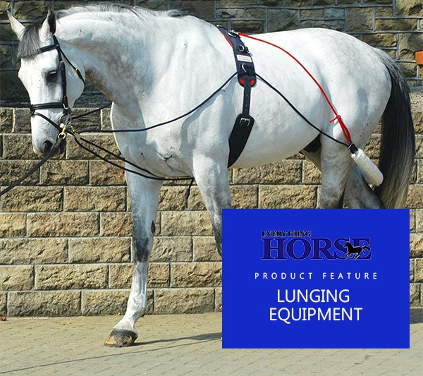 lunging equipment for horses