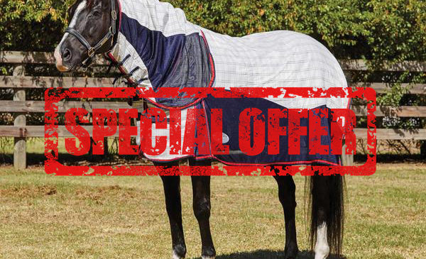 Viovet special offers