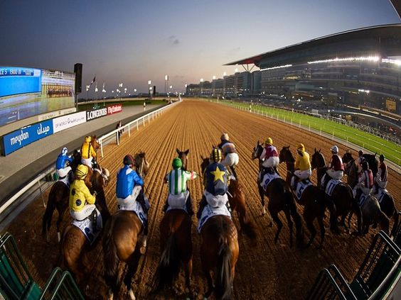 Dubai World Cup illustration top horse races in the world
