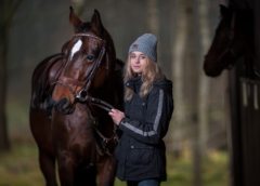 What equestrian insurance do I need?