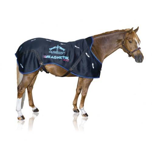 a horse wearing veredus-magnetik-sheet