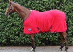 The 5 Best Cooler Rugs For Horses