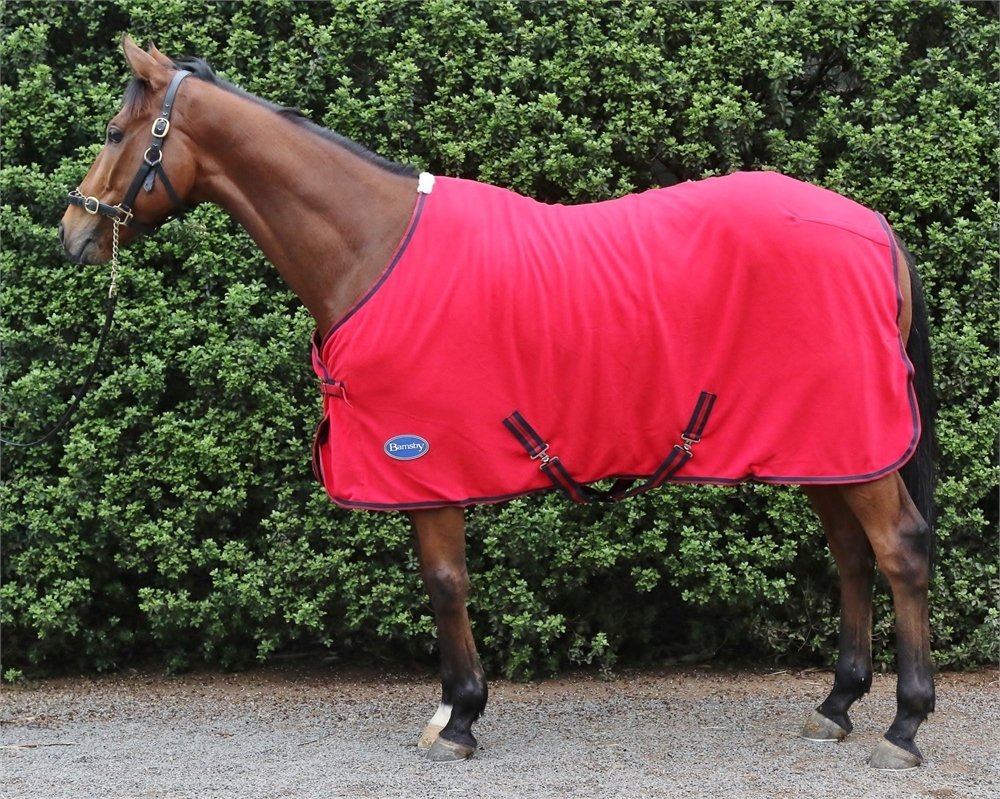 BOH Fleece Breathable Cooler Moisture Wicking Anti-Sweat Travel Show Stable Rug 