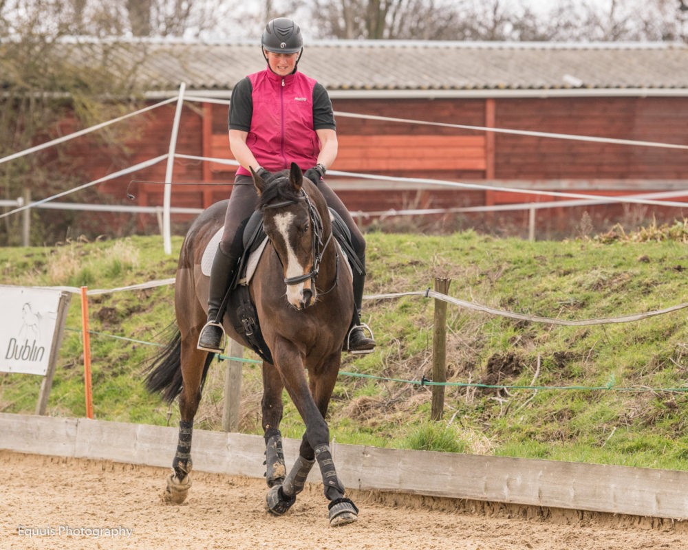 Exercises for an Ex-Racehorse