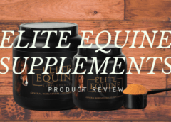 Elite Equine Supplements Tried and Tested
