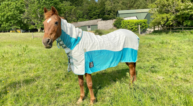 best lightweight turnout rugs - animac allrounder fly combo