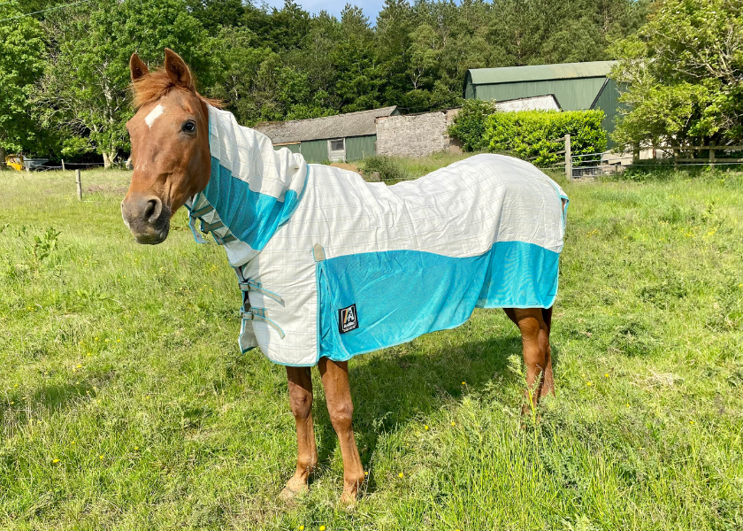 best lightweight turnout rugs - animac allrounder fly combo