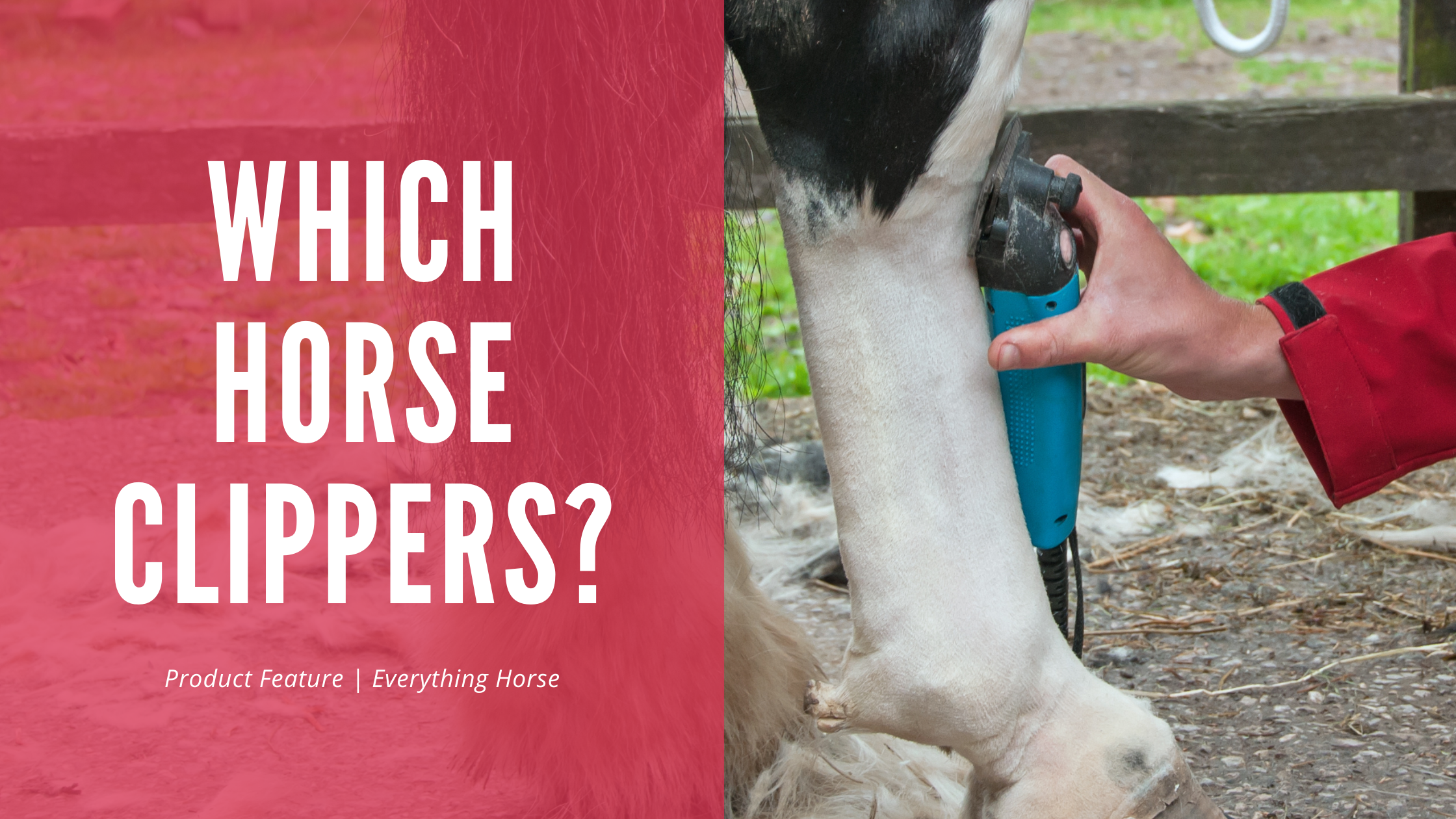 Which Horse Clippers