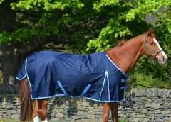 Budget-Friendly Turnout Rugs
