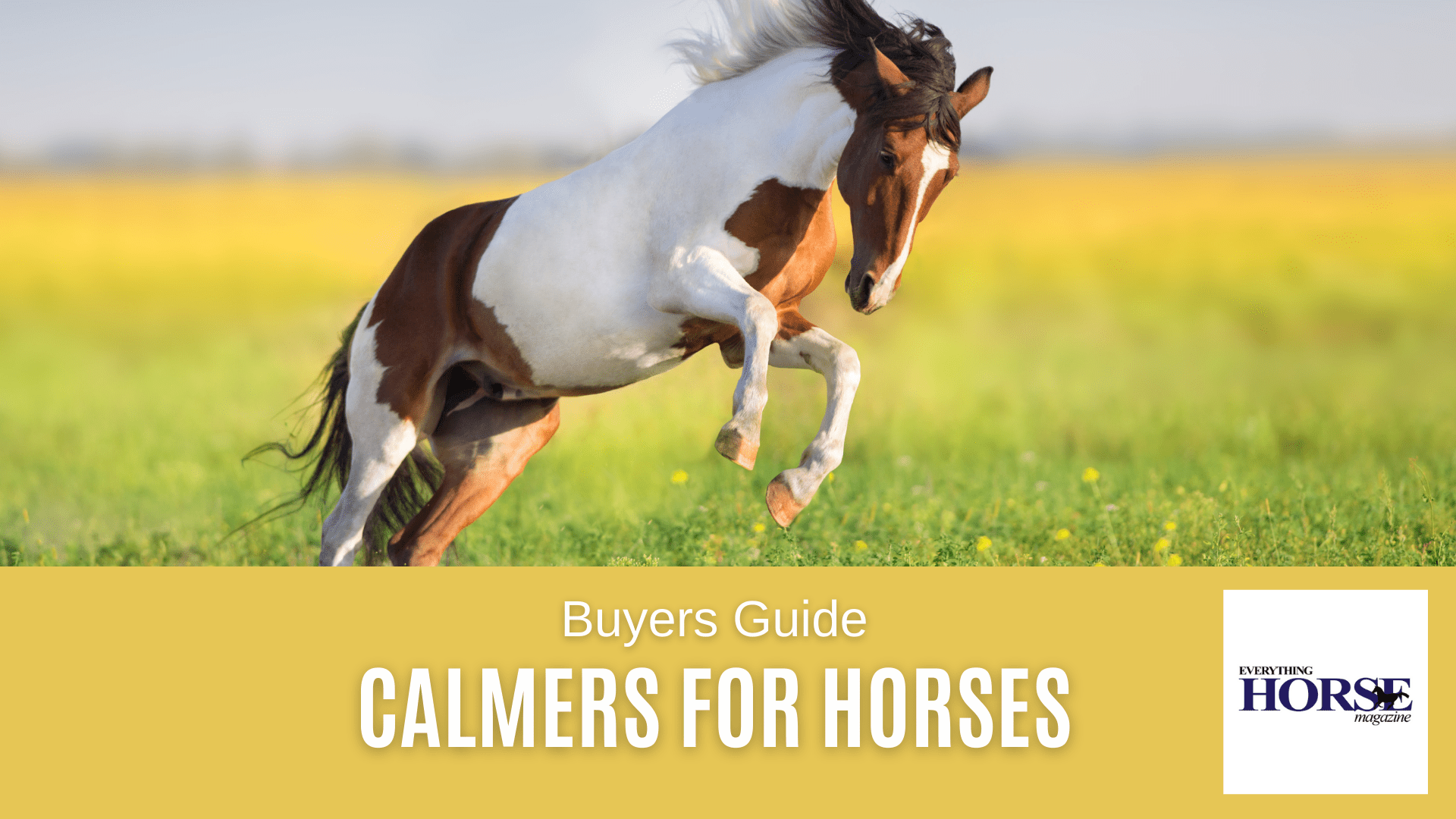 Calmers for Horses
