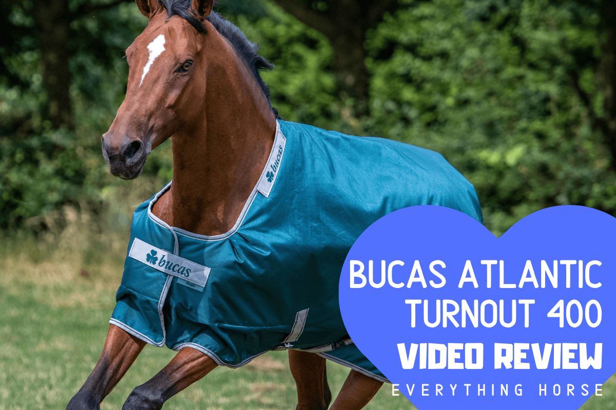Bucas Atlantic Turnout 400 Rug Review