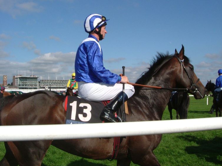 An invite only sprint race over six furlongs (1200m), there is $15 million up for grabs. Blackbook.com.au, the leading Australian horse racing site, have picked out the best chances. horse and jockey racing