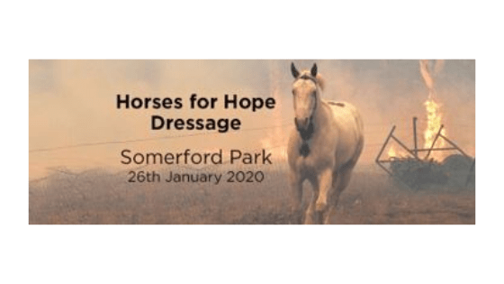 charity dressage competition somerford park