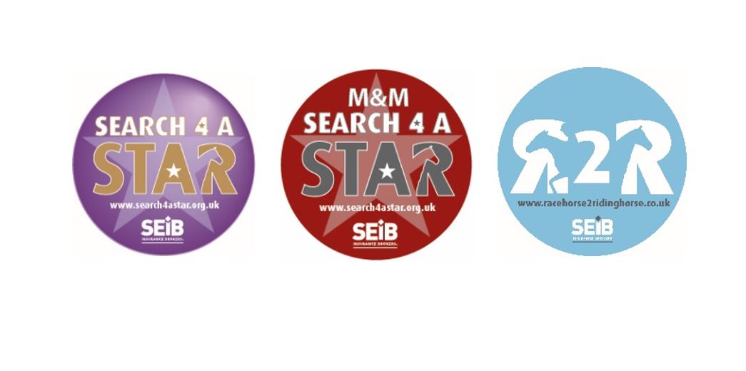 seib search for a star racehorse to riding horse Everything Horse