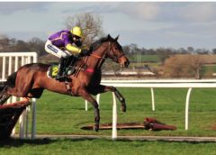 Horse racing over a hurdle