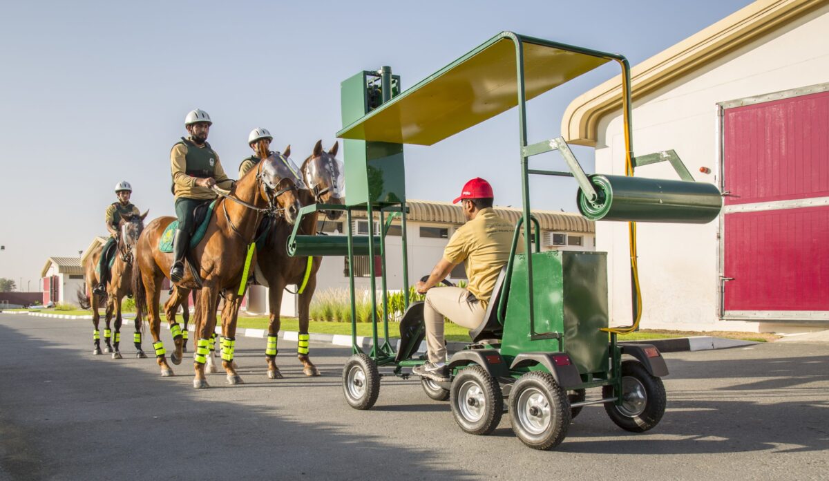 Racehorses being trained for Police Work