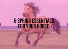 Six Spring Essentials for Your Horse