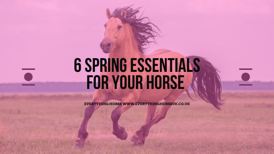 6 spring essentials for your horse