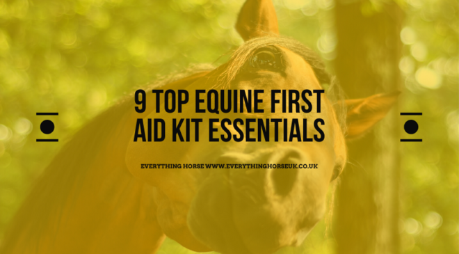 9 top equine first aid kit essentials