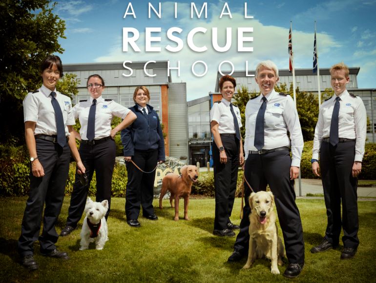 animal rescue school