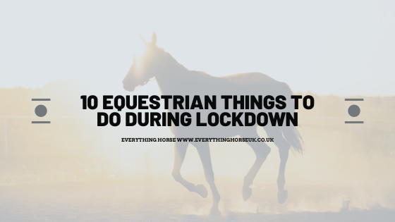 10 Equestrian Things to do During Lockdown
