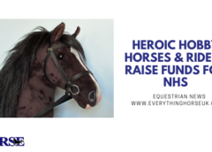 Heroic Hobby Horses & Riders Raise Funds for NHS
