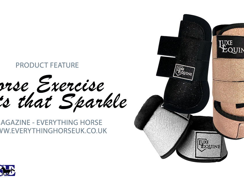 Horse Exercise Boots Luxe Equine feature image