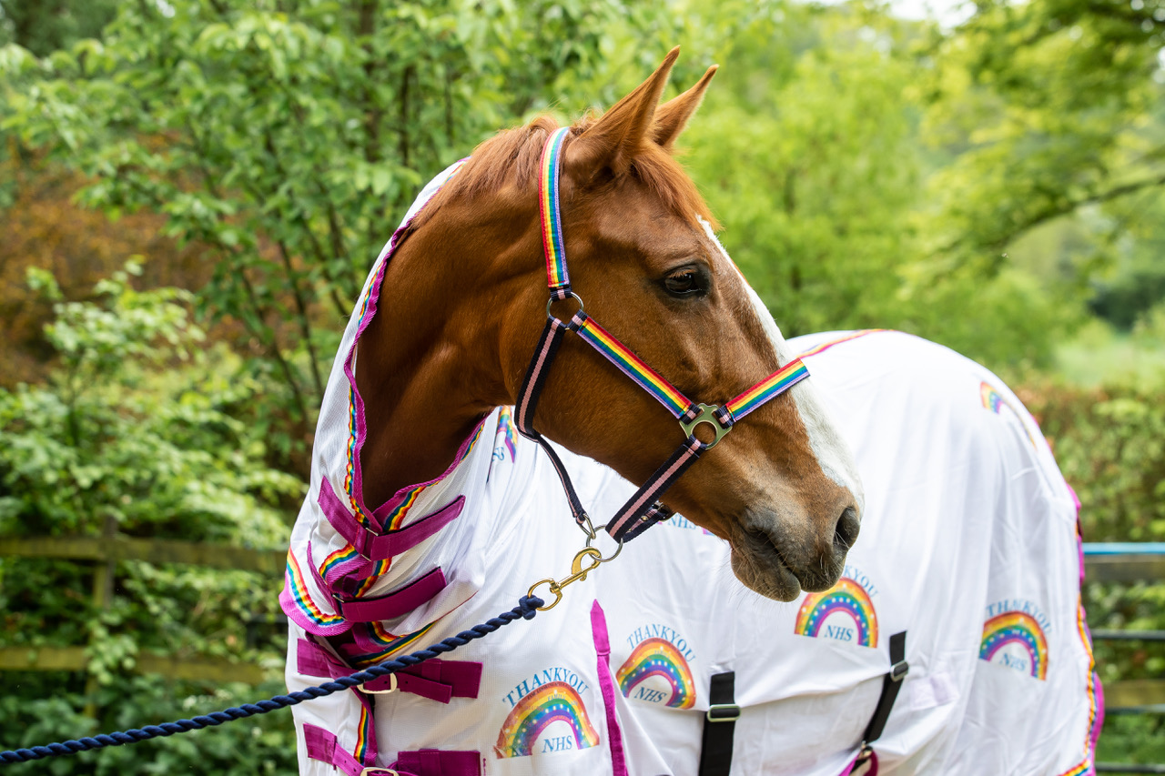 thank you NHS Rainbow Fly Rug front