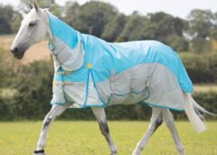 Best Waterproof fly rugs feature image of Highlander Plus Waterproof Combo Neck Fly Rug Blue on a horse