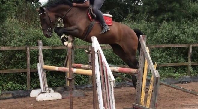 Reece Reece McCook - Striving for Equestrian Equality