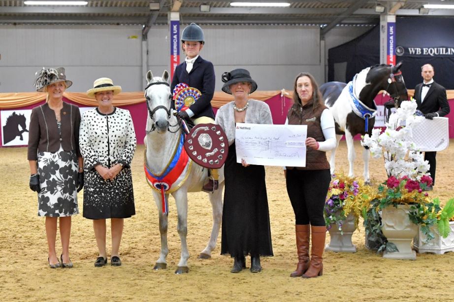 Overall Champion Veteran Horse Society Championships