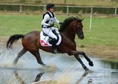 Horse rider fitness and fitness plans - horse and rider canter through a water element