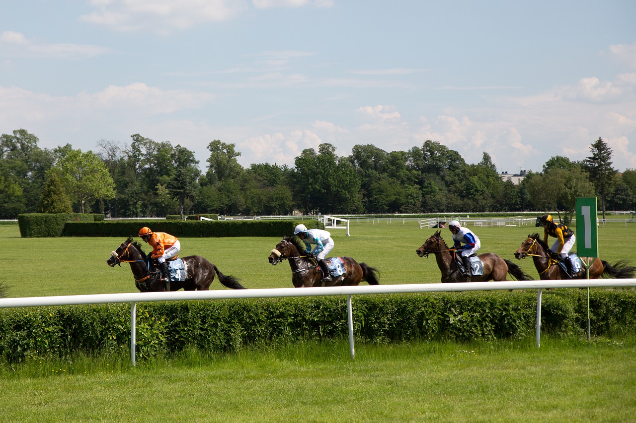 July Cup 2020 - Horse racing image for illustration