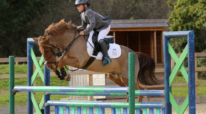 Ten Year Old Alfie Diaper To Make His Mark in Showjumping