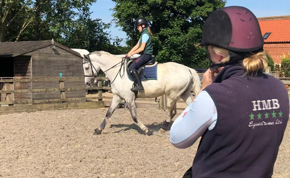 Points to Consider when Buying a New Horse