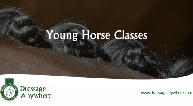Dressage Anywhere Young Horse Classes