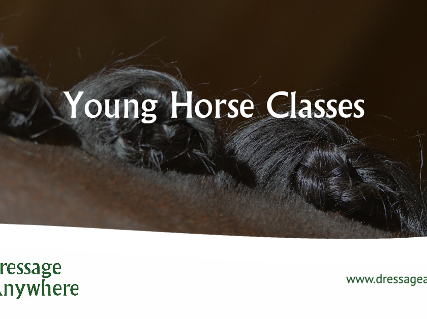 Dressage Anywhere Young Horse Classes