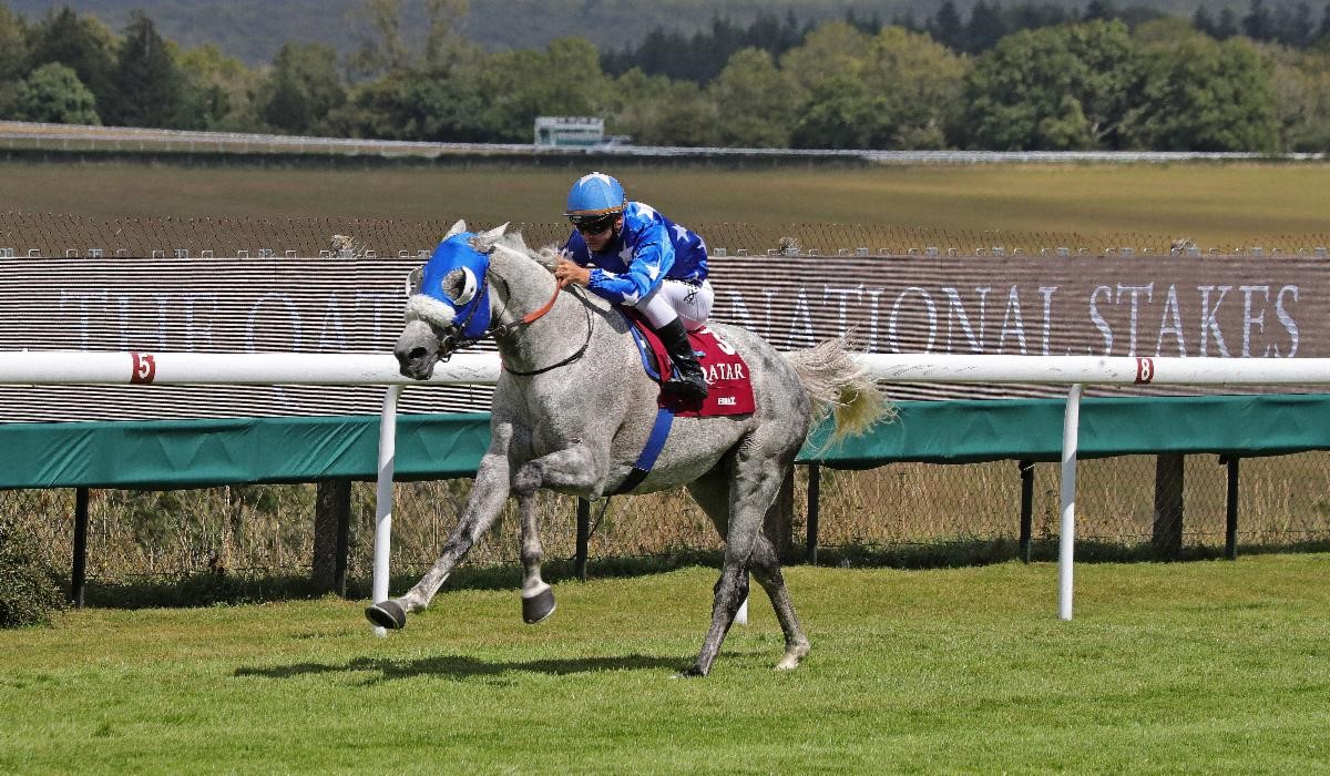 Ebraz (GB) and Maxime Guyon win the 2020 Qatar International Stakes (Gr1PA)(C) Debbie Burt