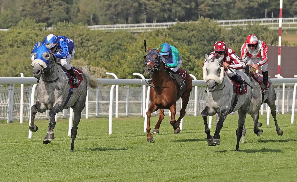 Ebraz (GB) and Maxime Guyon (left) win the 2019 Qatar International Stakes (Gr1PA) from Tayf (FR) and Olivier Peslier (right) (C) Debbie Burt