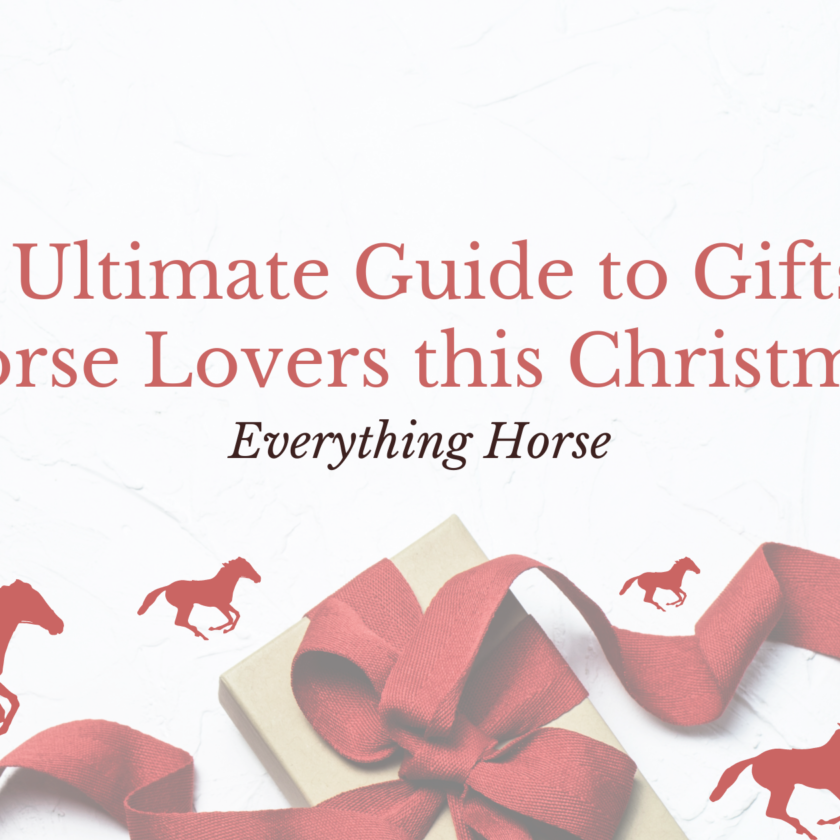 Best Horse Themed Gifts Everything Horse